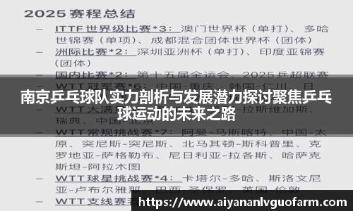 南京乒乓球队实力剖析与发展潜力探讨聚焦乒乓球运动的未来之路