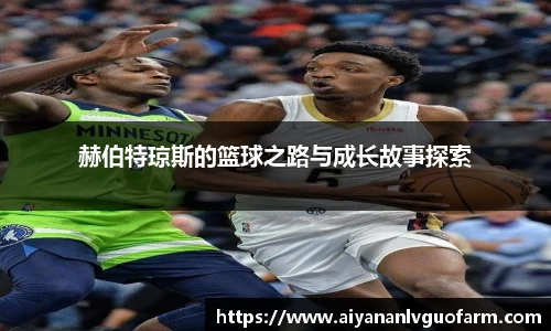 赫伯特琼斯的篮球之路与成长故事探索
