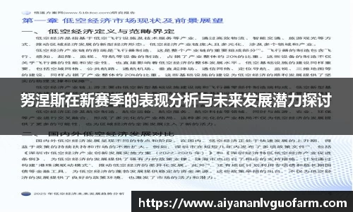 努涅斯在新赛季的表现分析与未来发展潜力探讨