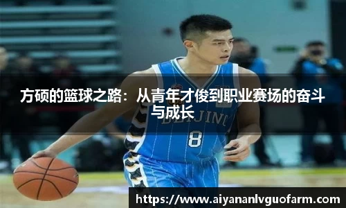 方硕的篮球之路：从青年才俊到职业赛场的奋斗与成长